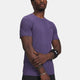 Vanish Seamless Novelty SS